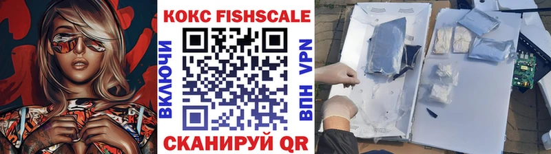 Cocaine Fish Scale  купить закладку  дарк нет формула  Норильск 