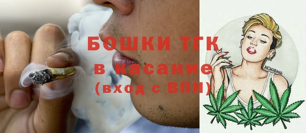 МДПВ Гусев