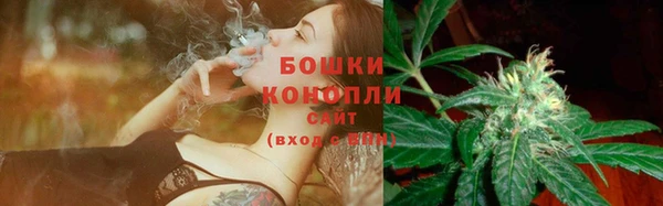 стаф Гусь-Хрустальный