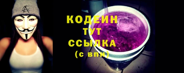 МДПВ Гусев
