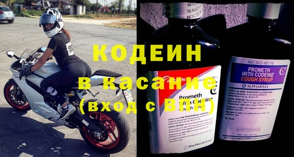 стаф Гусь-Хрустальный