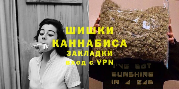 МДПВ Гусев