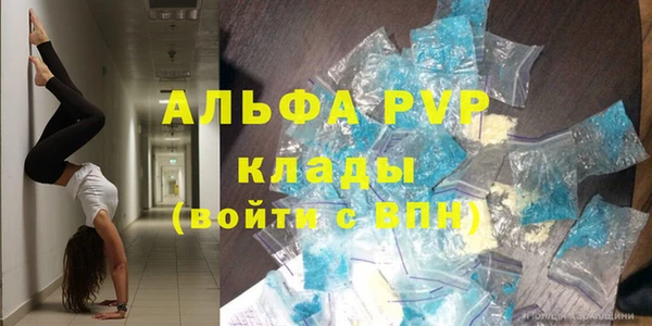 стаф Гусь-Хрустальный