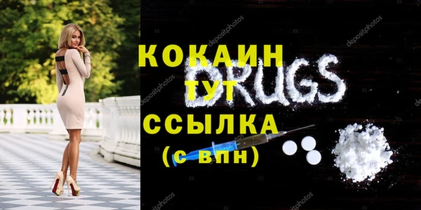 МДПВ Гусев