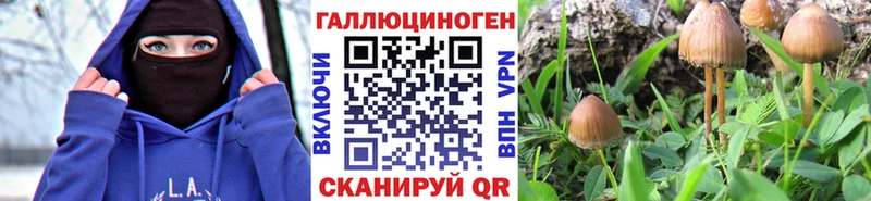 Псилоцибиновые грибы MAGIC MUSHROOMS  Норильск 